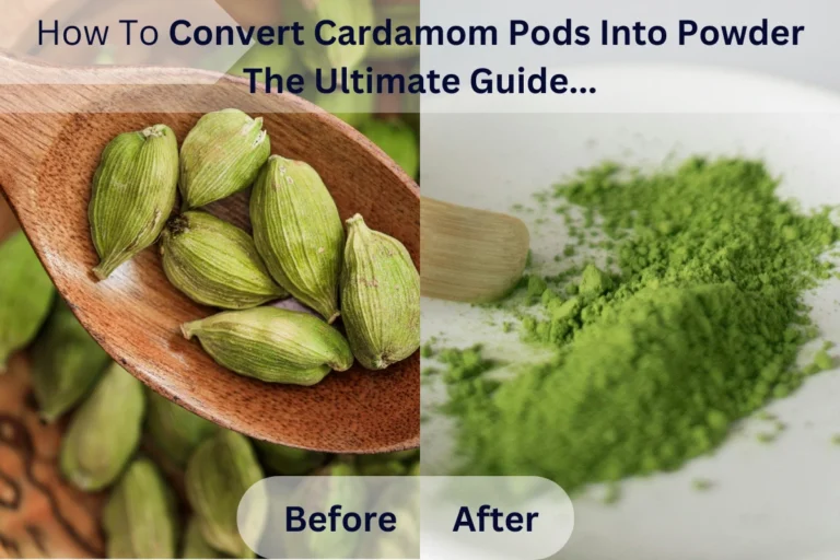 there are two sides of a picture.. There are cardamom pods in one side and on the other side is the vrsion of converted cardamom pods into powder