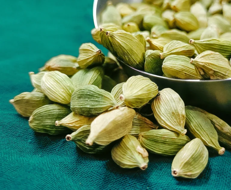 Close-up of green cardamom pods scattered on a teal cloth, with some pods inside a silver metal bowl.