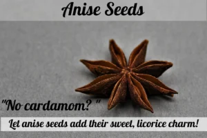 Anise seeds add their sweet, licorice charm as cardamom substitutes