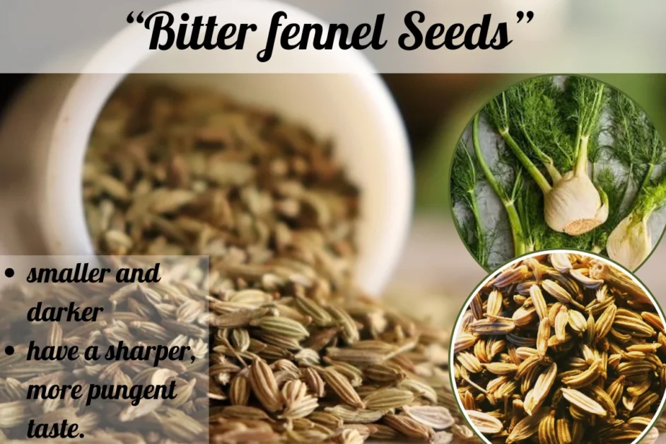 there are bitter fennel seeds are placing on the table and a picture of the plant of bitter fennel seeds