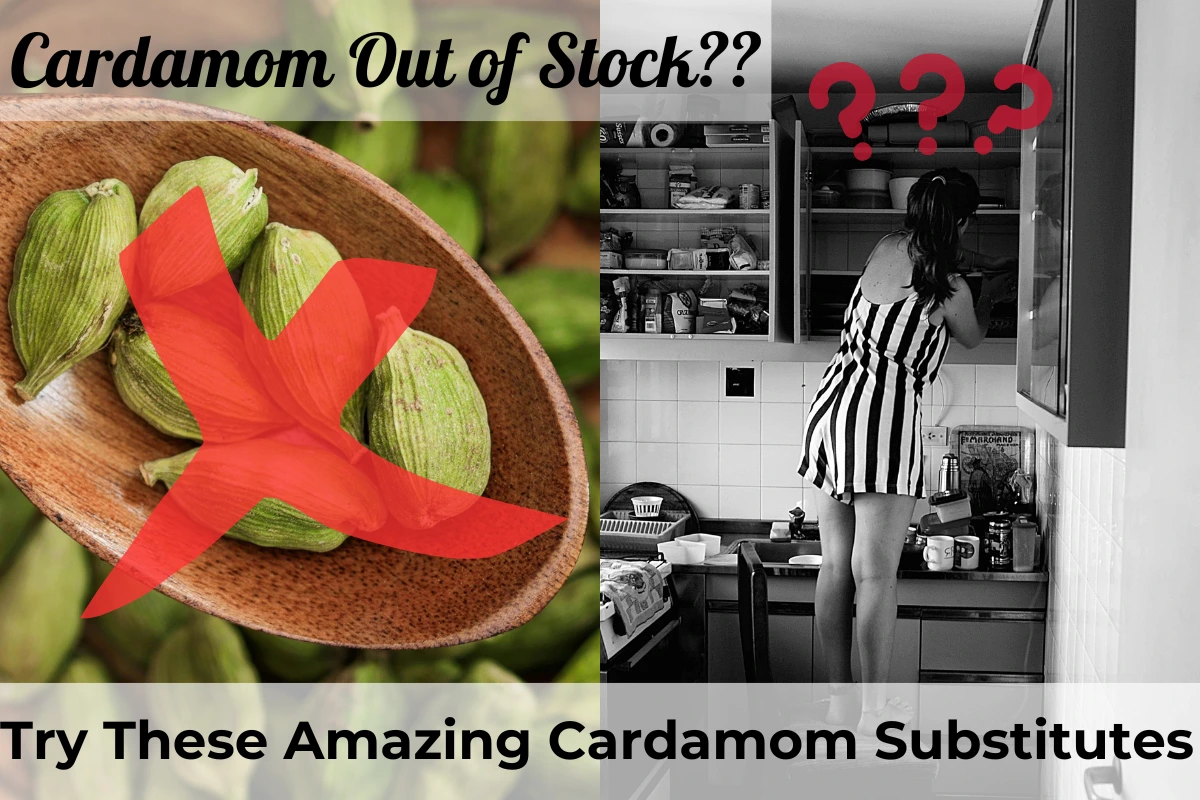 cardamom out of stock?. no problem. cardamom substitutes are here