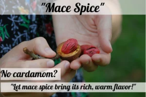 mace spice is ready to serve as cardamom substitute
