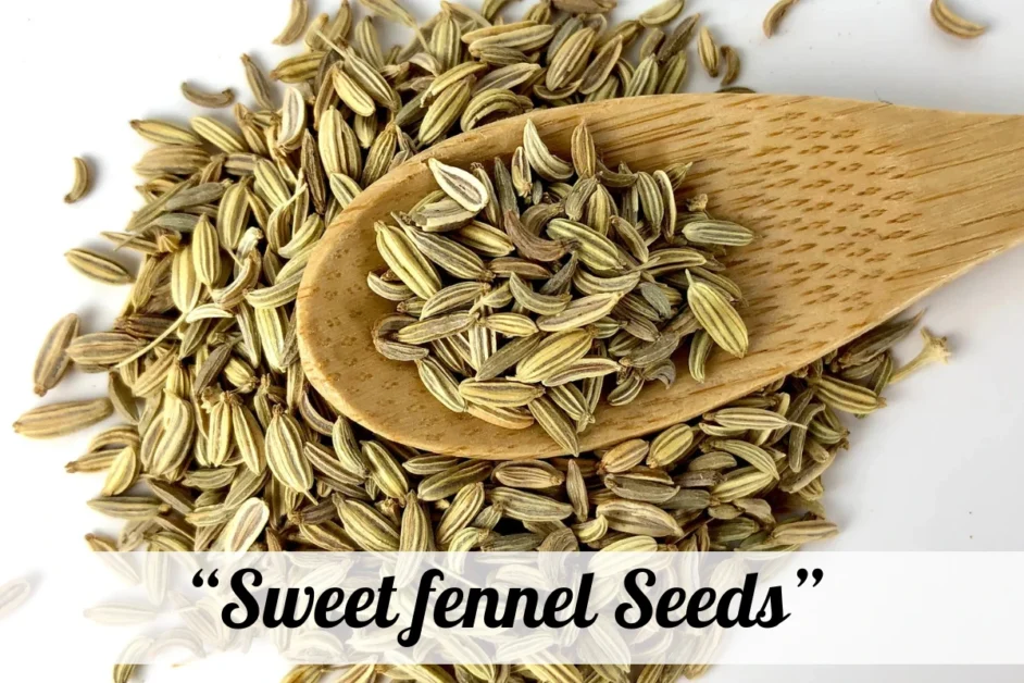 sweet fennel seeds in a wooden spoon