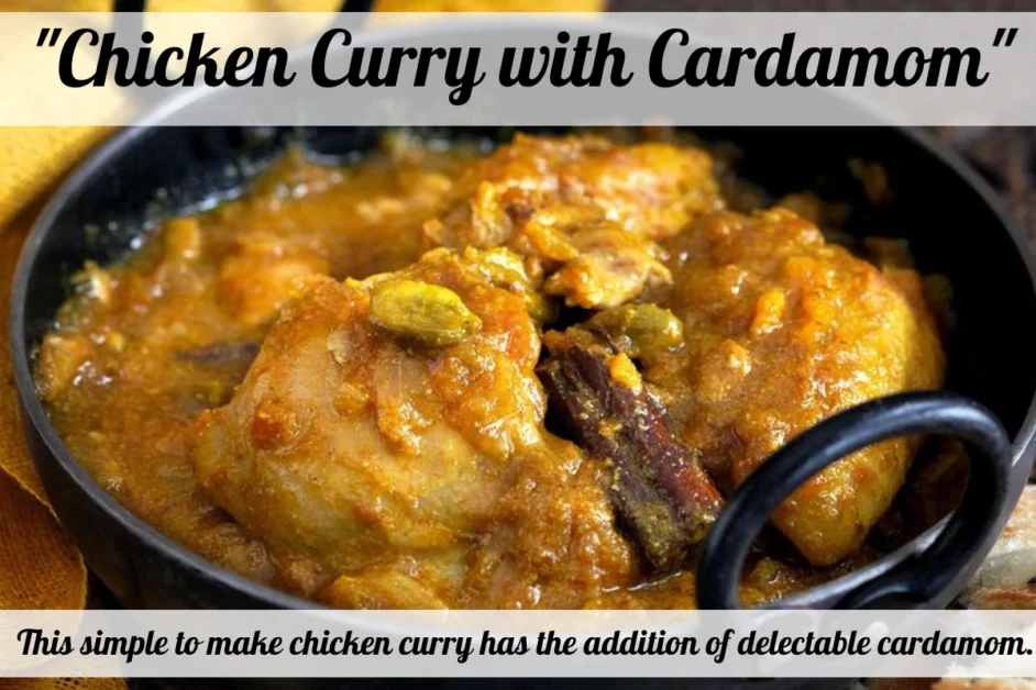 fresh and hot homemade chicken curry made with cardamom