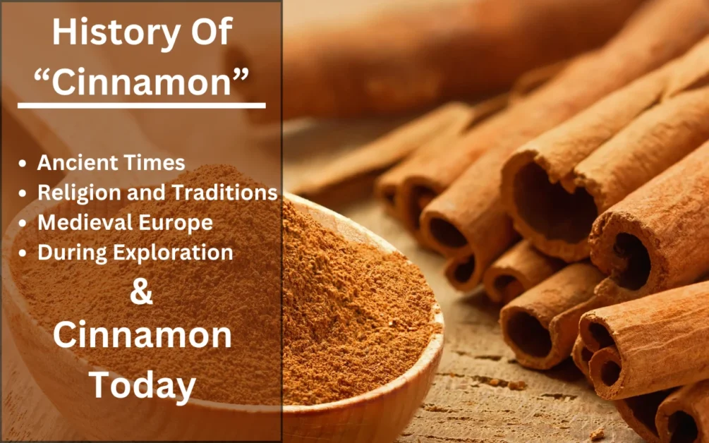 history of cinnamon