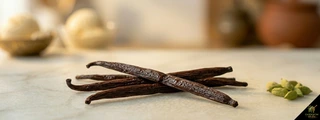 Vanilla pods with green cardamom pods — vanilla cardamom pairing ice cream custard desserts