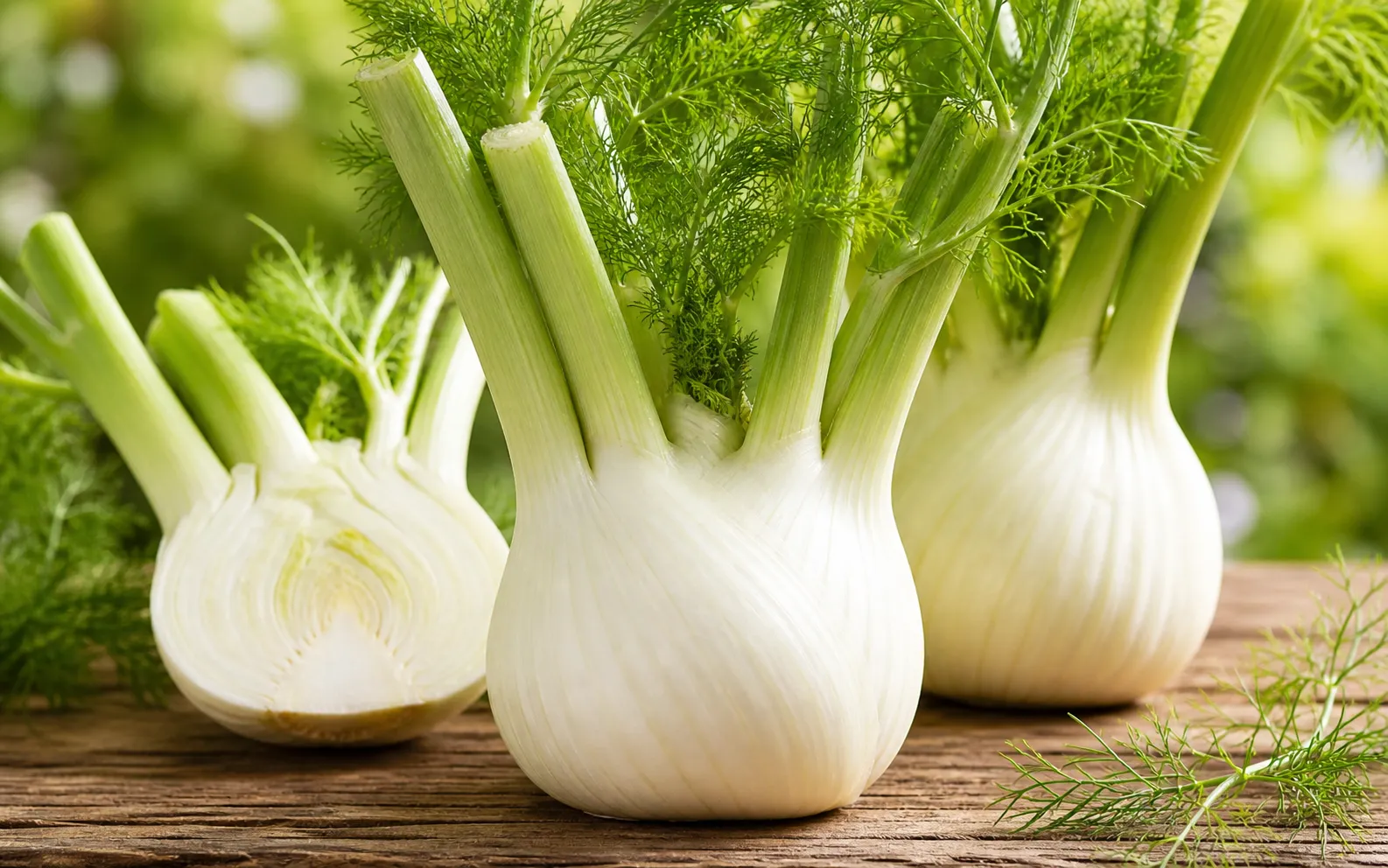 Fresh Florence fennel bulbs with white swollen bases and green stalks on a rustic wooden surface.