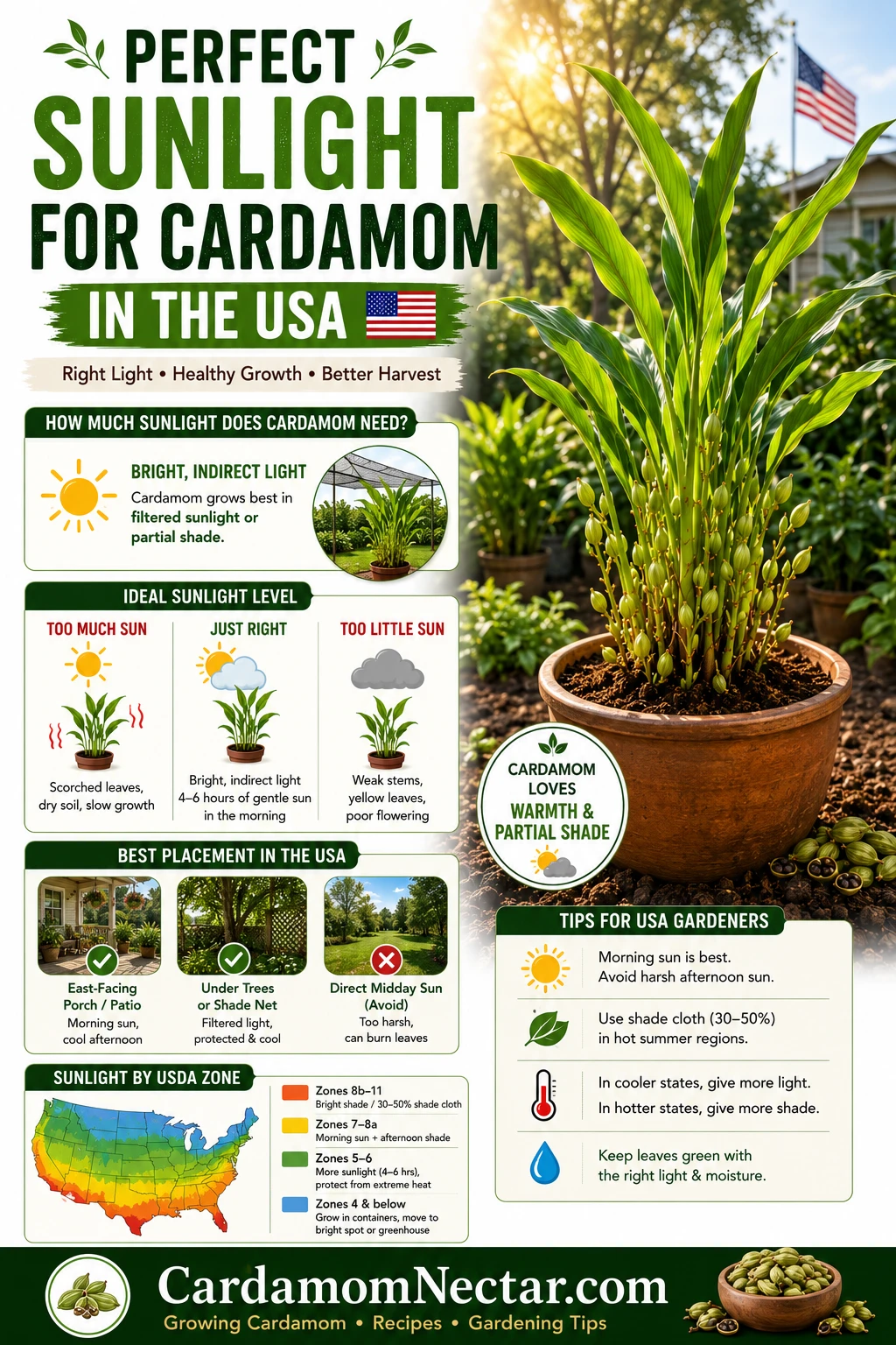 Correct sunlight and shade level for growing cardamom in the USA