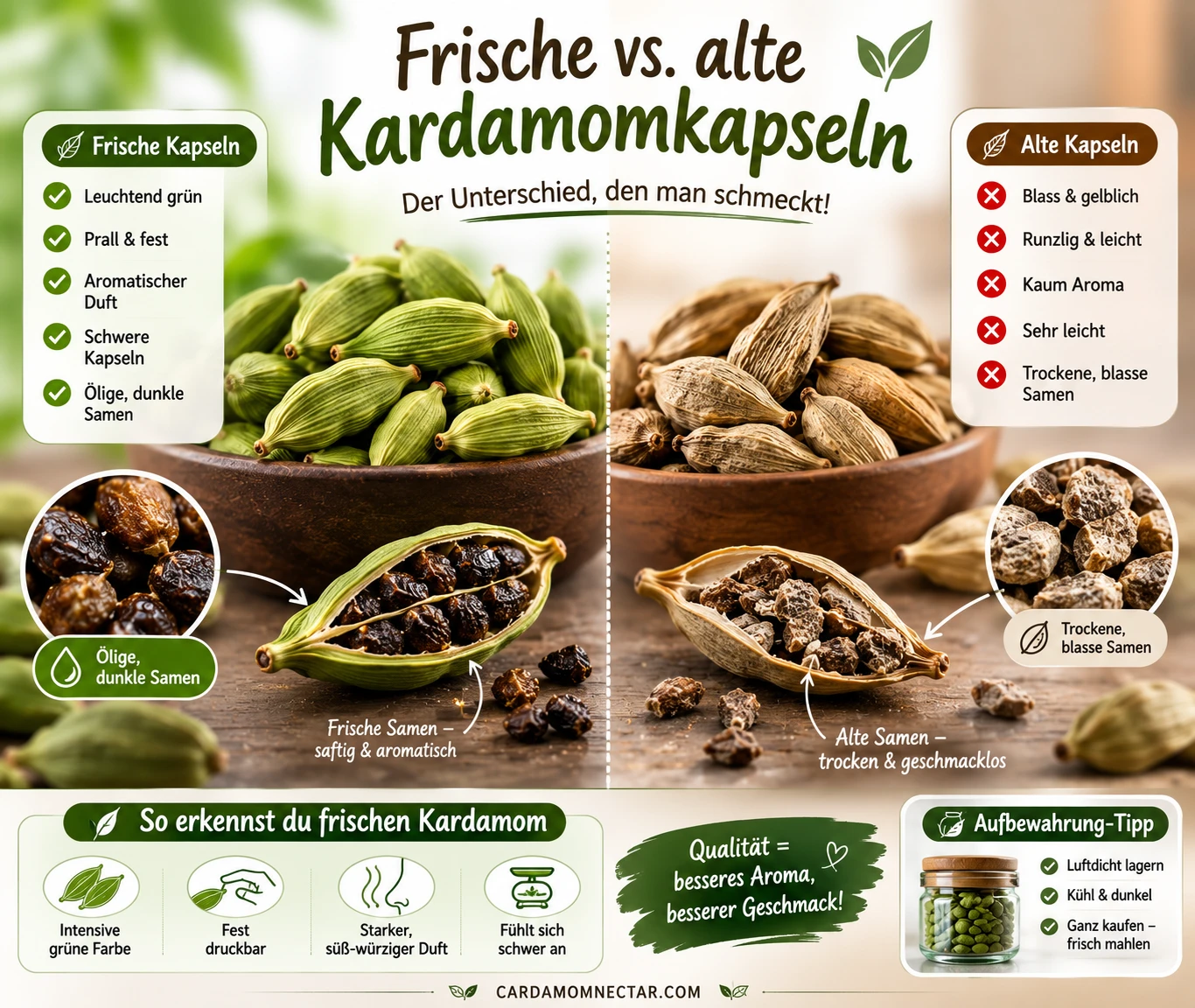 Frische grüne Kardamomkapseln im Vergleich zu alten, ausgetrockneten Kapseln
