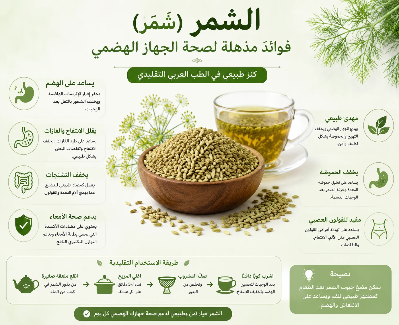 Shamar fennel seeds digestive health benefits — Arabic traditional medicine