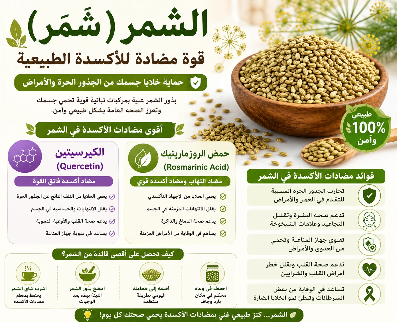 Fennel seeds antioxidant properties — quercetin and rosmarinic acid health benefits