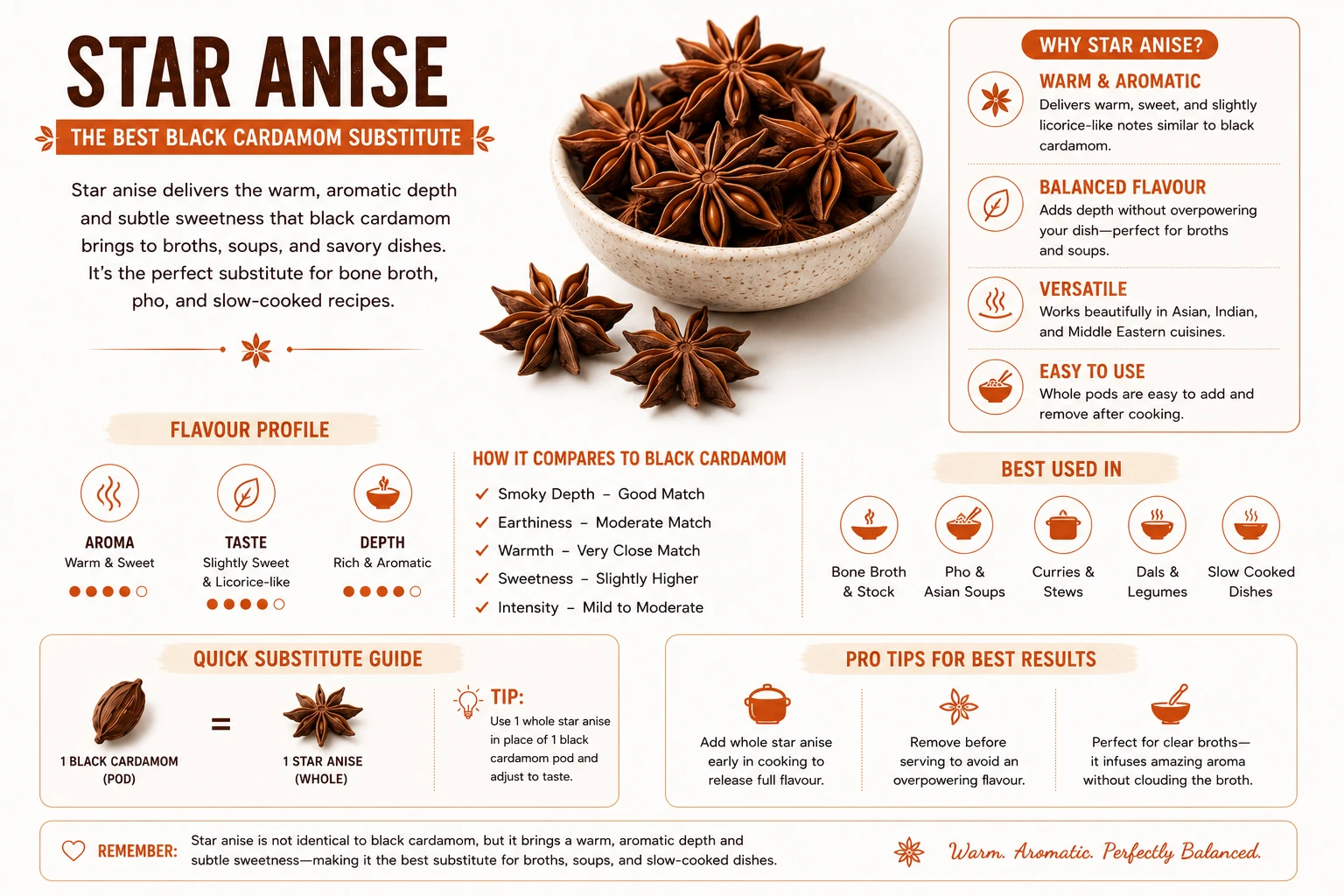 Whole star anise pods — the best black cardamom substitute for bone broth and pho