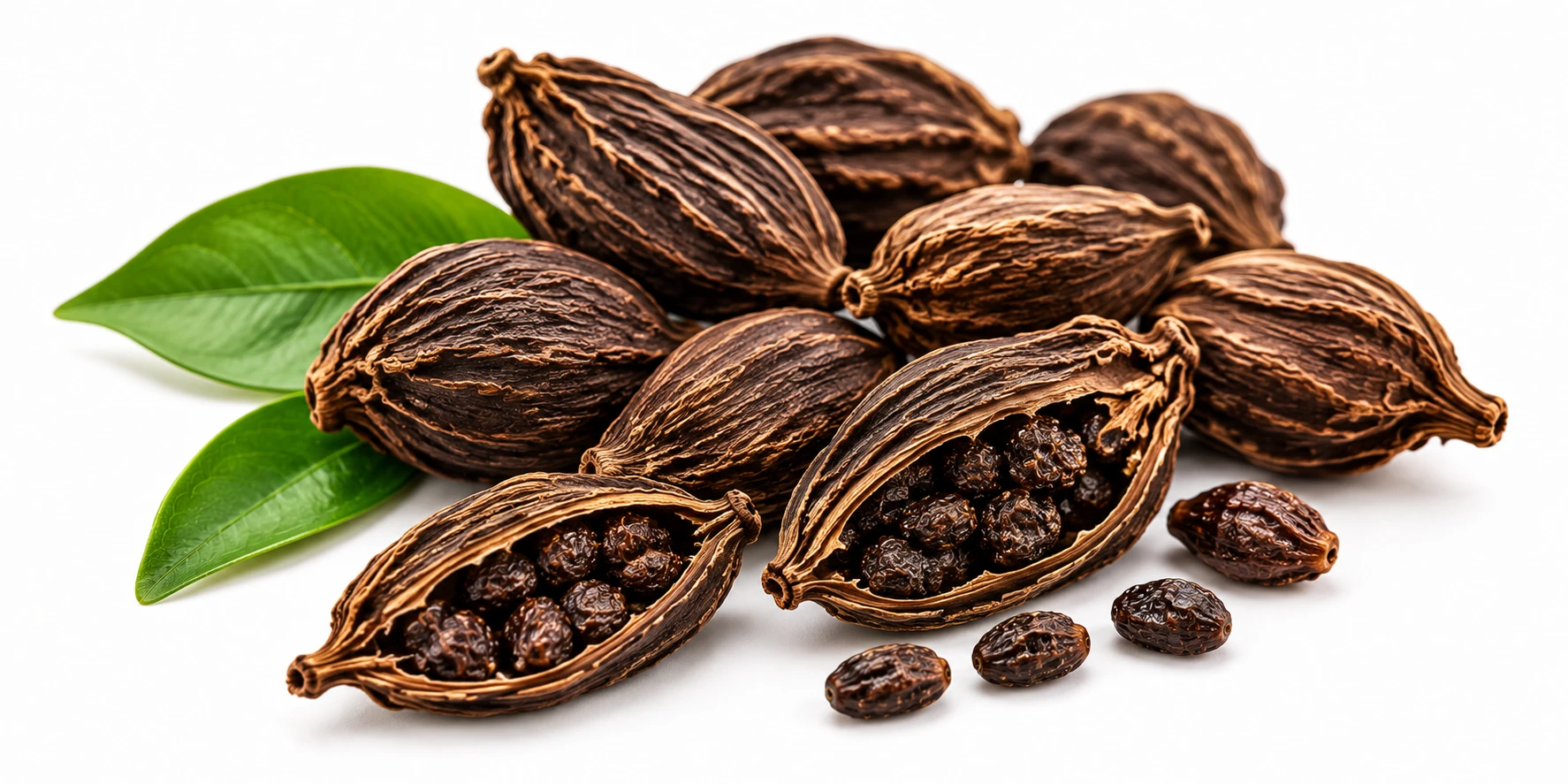 Black cardamom pods