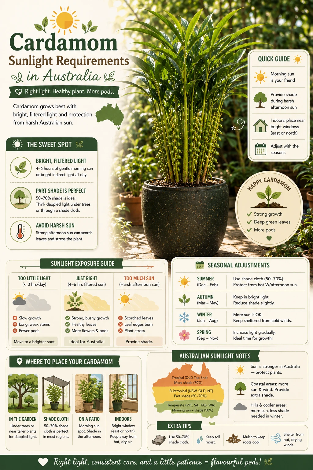 Correct sunlight and shade level for growing cardamom in Australia